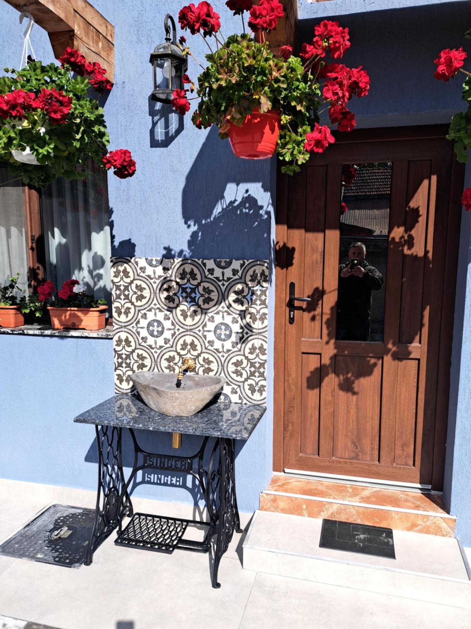 Casa Rustica Saceleana Βίλα Εξωτερικό φωτογραφία